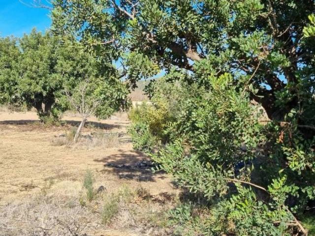Terreno en venta en el Camp de Túria, Valencia