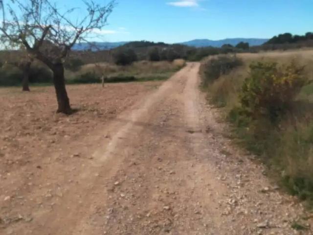 Terreno en venta en Casinos, València / Valencia