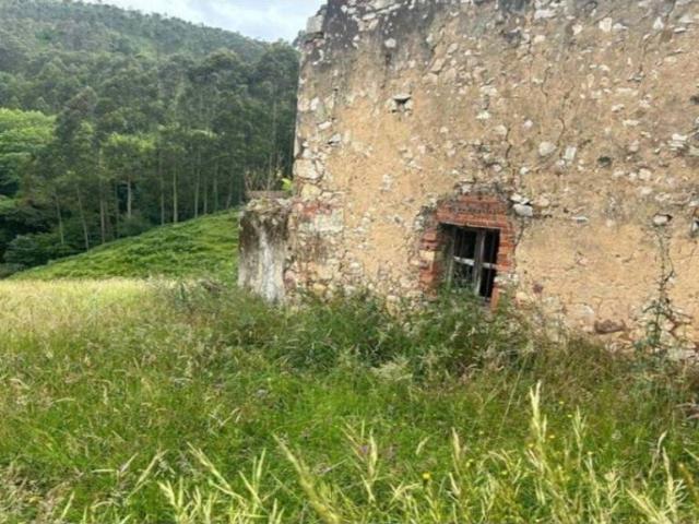 Terreno en venta en Caso, Asturias