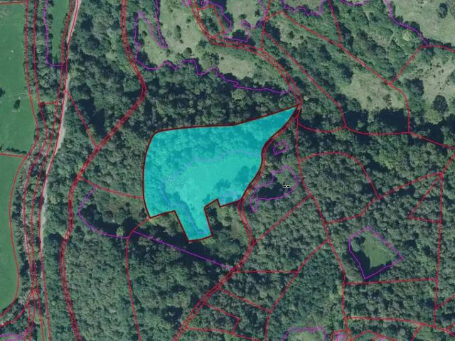 Terreno en venta en Caso, Asturias