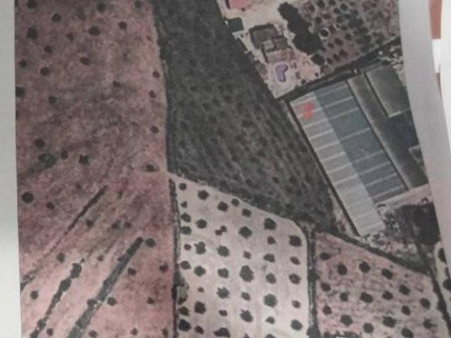 Terreno en venta en l'Alcoià, Valencia