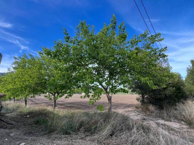 Terreno en venta en l'Alcoià, Valencia