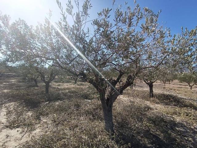 Terreno en venta en l'Alcoià, Valencia