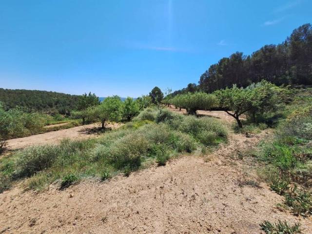 Terreno en venta en l'Alcoià, Valencia