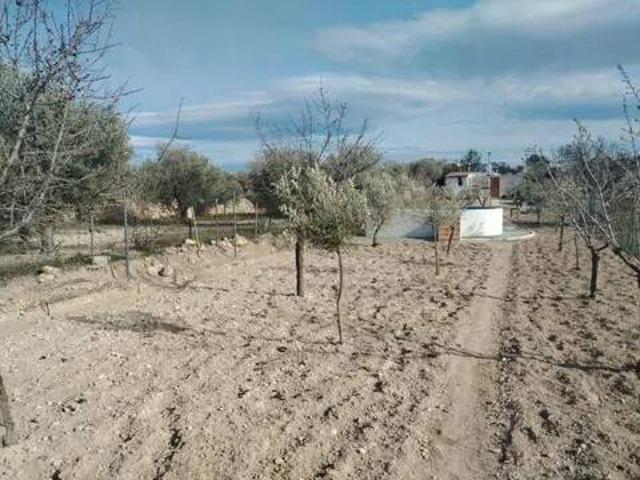 Terreno en venta en l'Alcoià, Valencia