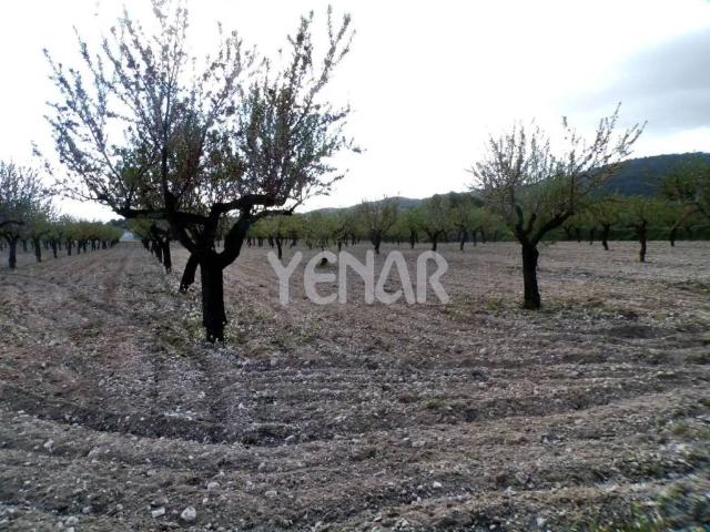 Terreno en venta en l'Alcoià, Valencia