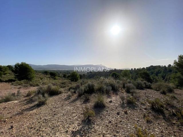 Terreno en venta en l'Alcoià, Valencia