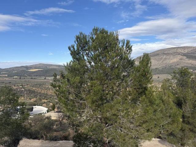 Terreno en venta en l'Alcoià, Valencia
