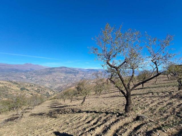 Terreno en venta en Comarca de la Alpujarra Granadina, Andalucía