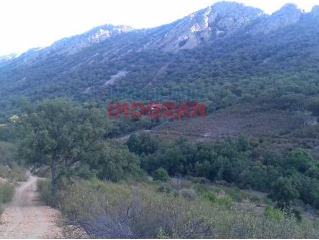 Terreno en venta en Castañar De Ibor, Extremadura