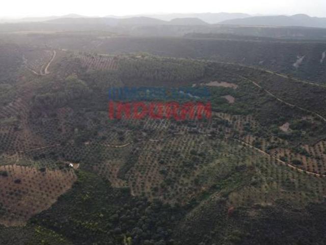 Terreno en venta en Castañar De Ibor, Extremadura