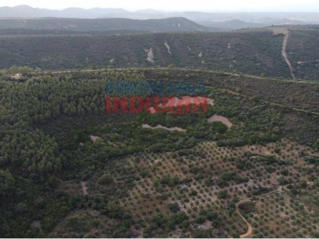 Terreno en venta en Castañar De Ibor, Extremadura