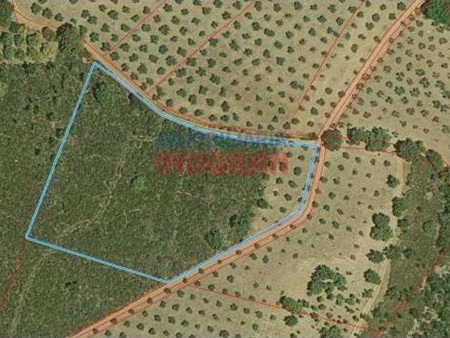 Terreno en venta en Castañar De Ibor, Extremadura