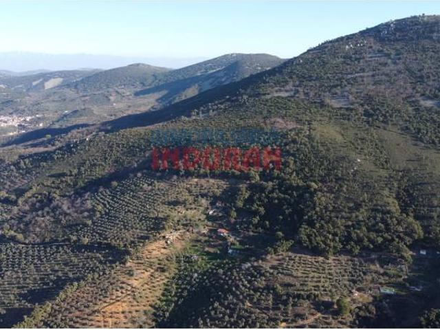 Terreno en venta en Castañar De Ibor, Extremadura