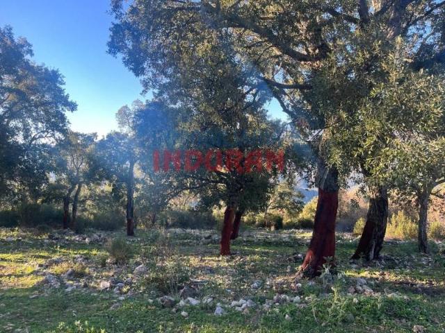 Terreno en venta en Castañar De Ibor, Extremadura
