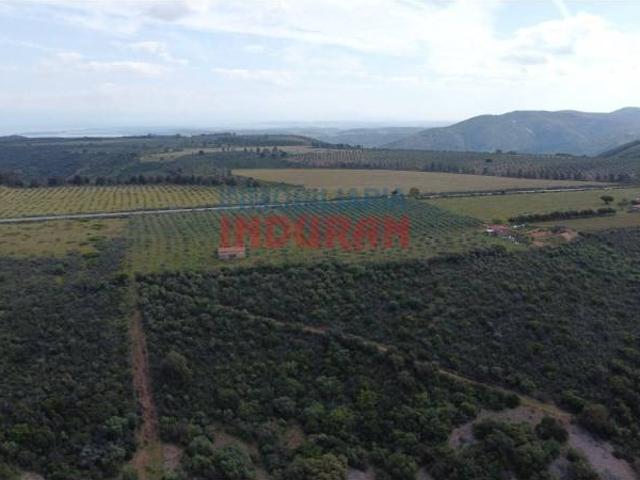 Terreno en venta en Castañar De Ibor, Extremadura
