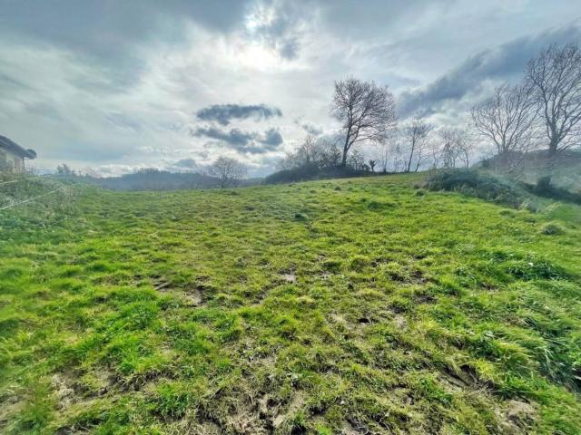 Terreno en venta en Pomaluengo, Castañeda