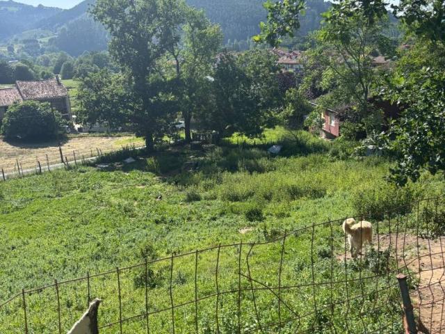 Terreno en venta en Castañeda, Cantabria