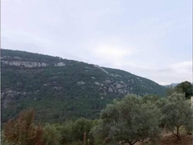 Terreno en venta en la Marina Alta, Valencia
