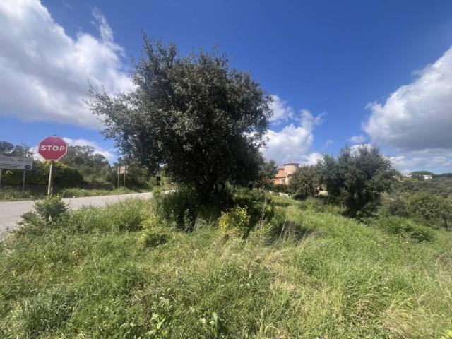 Terreno en venta en Castell d'Aro, Platja d'Aro i s'Agaró, Baix Empordà