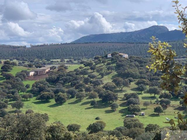 Terreno en venta en Garbayuela