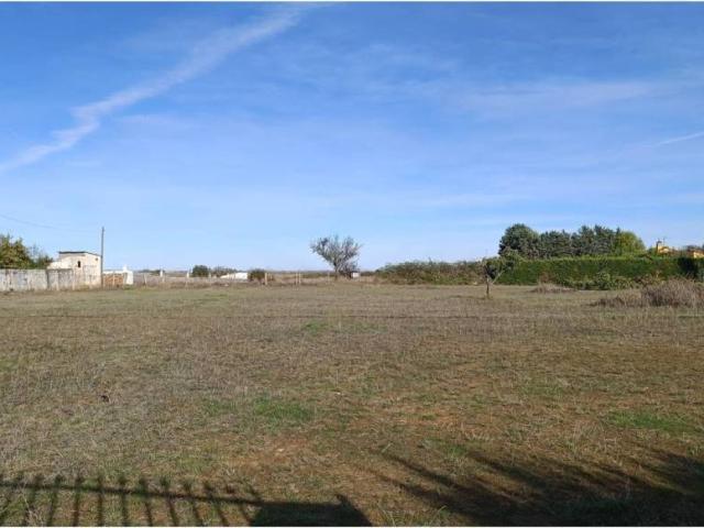 Terreno en venta en Urbanización Altozano, Castellanos De Villiquera