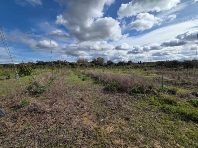 Terreno en venta en Campo de Gibraltar, Andalucía