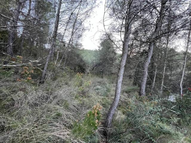 Terreno en venta en Bages, Catalunya