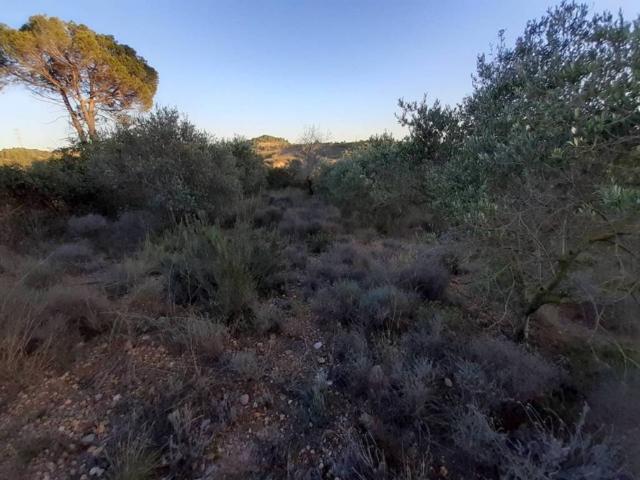 Terreno en venta en Vallès Occidental, Catalunya