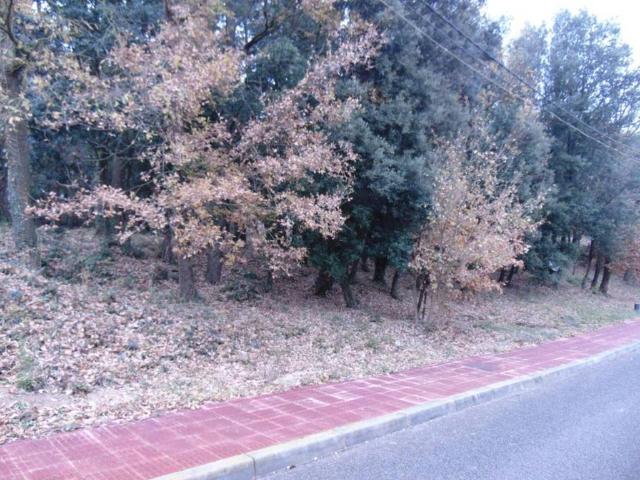 Terreno en venta en Moianès, Catalunya