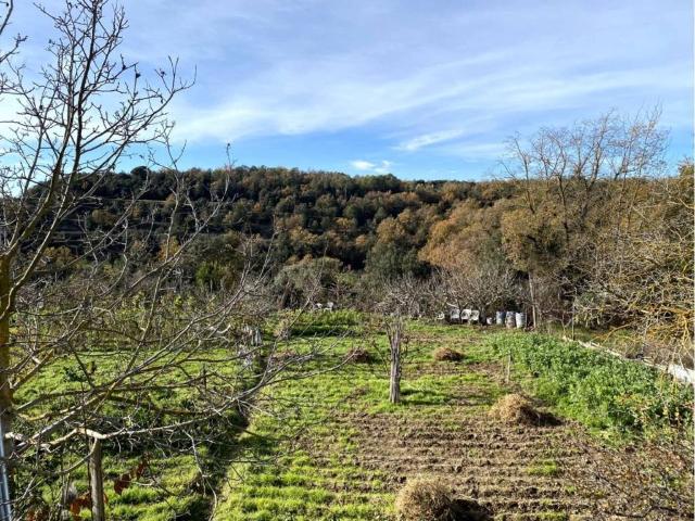 Terreno en venta en Moianès, Catalunya