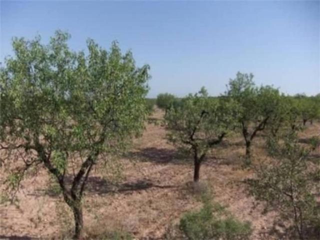 Terreno en venta en Garrigues, Catalunya