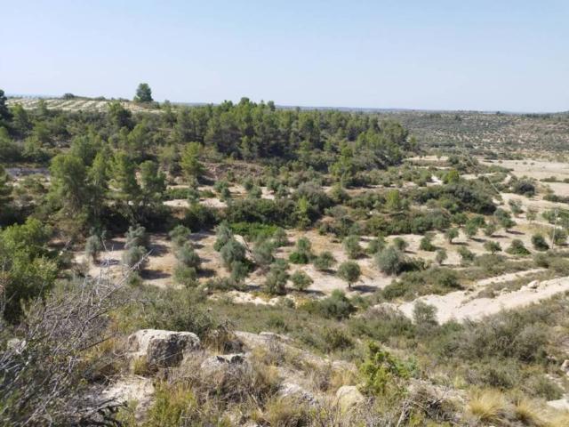 Terreno en venta en Garrigues, Catalunya
