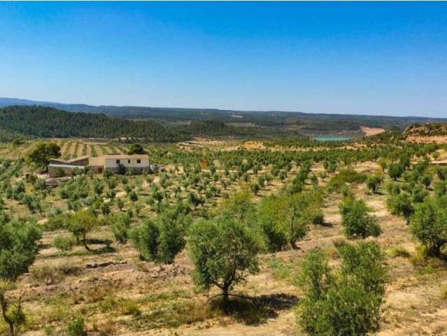 Terreno en venta en Garrigues, Catalunya