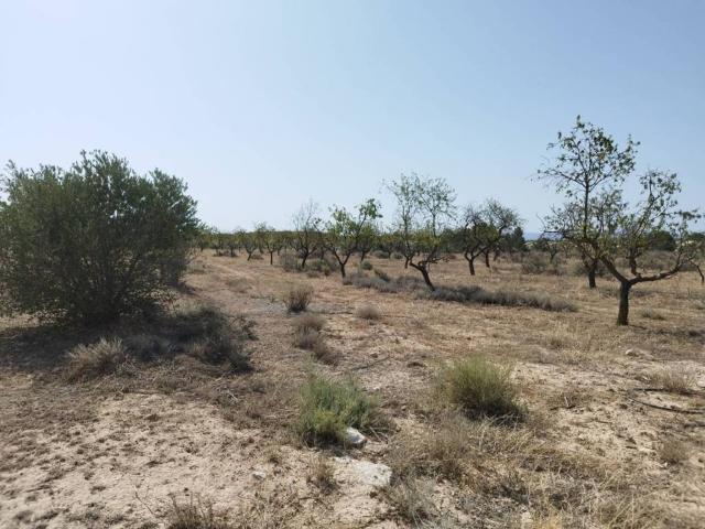 Terreno en venta en Garrigues, Catalunya