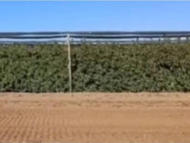Terreno en venta en Garrigues, Catalunya