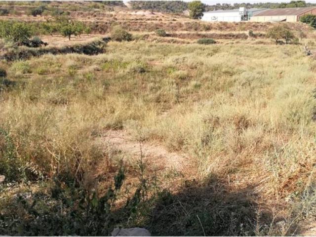 Terreno en venta en Garrigues, Catalunya