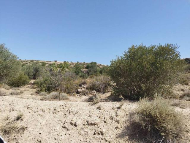 Terreno en venta en Garrigues, Catalunya