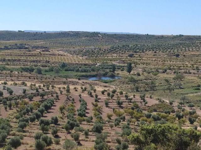 Terreno en venta en Garrigues, Catalunya