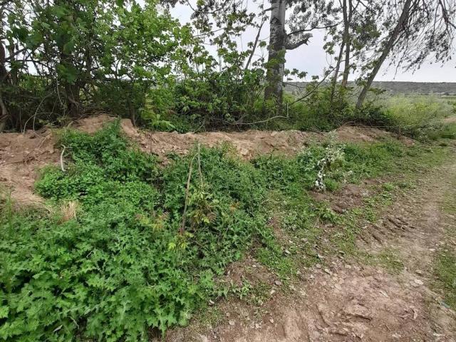 Terreno en venta en Garrigues, Catalunya