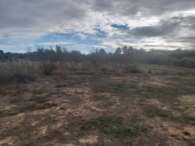 Terreno en venta en Garrigues, Catalunya