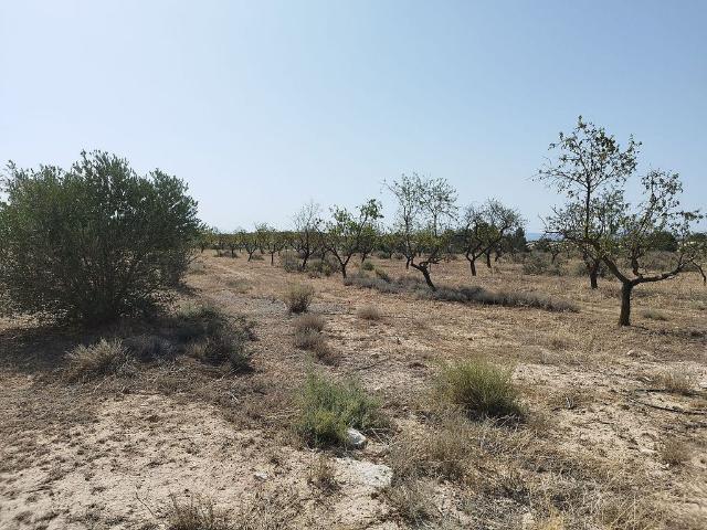 Terreno en venta en Garrigues, Catalunya