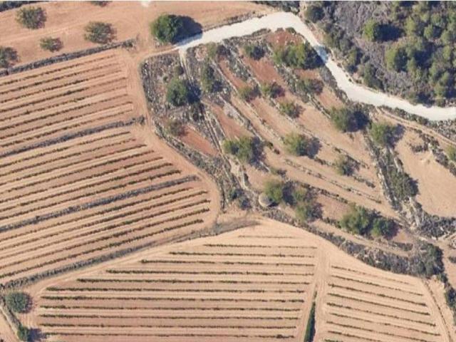 Terreno en venta en Alt Penedès, Catalunya