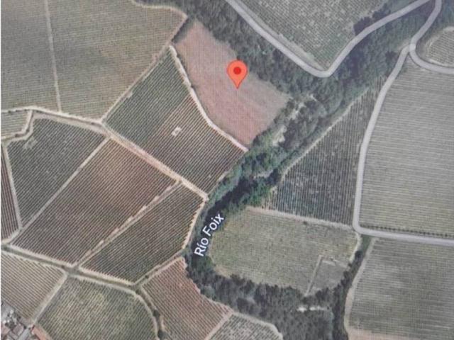 Terreno en venta en Alt Penedès, Catalunya