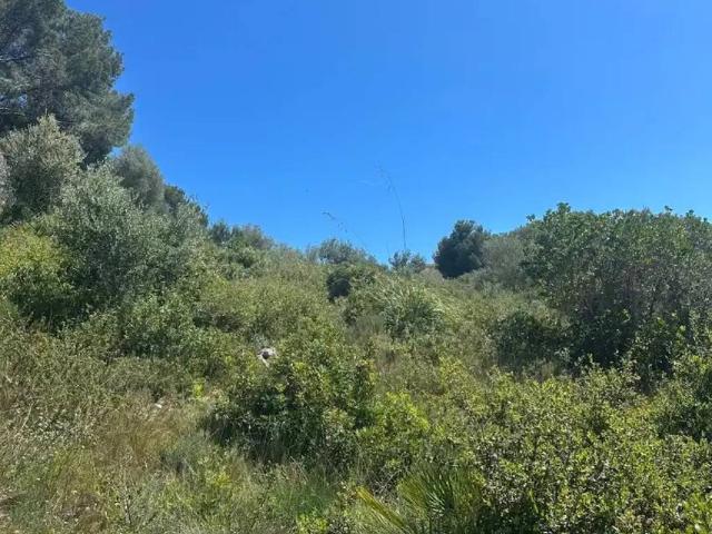 Terreno en venta en Alt Penedès, Catalunya