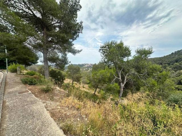 Terreno en venta en Alt Penedès, Catalunya