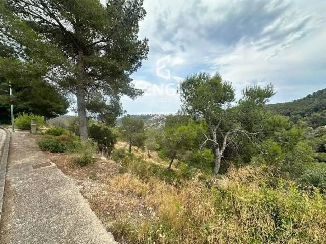 Terreno en venta en Alt Penedès, Catalunya