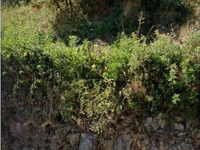 Terreno en venta en Alt Penedès, Catalunya