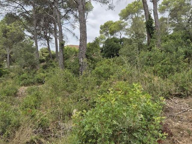 Terreno en venta en Alt Penedès, Catalunya