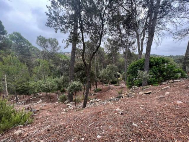 Terreno en venta en Bages, Catalunya